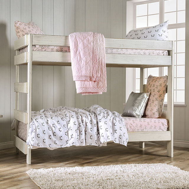 Arlette Twin/Twin Bunk Bed image